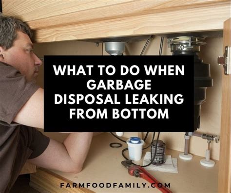 why is the bottom of my garbage disposal leaking|Garbage Disposal Leaking from the Bottom:。